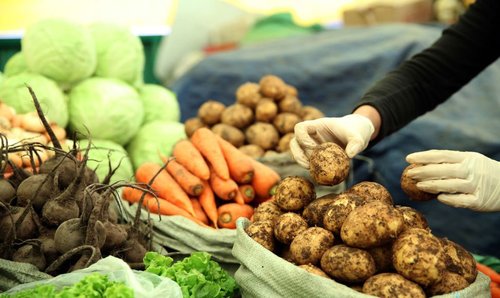 Эрэлт, нийлүүлэлтийг зохицуулах бодлого хүнсний ногоонд үгүйлэгдэв